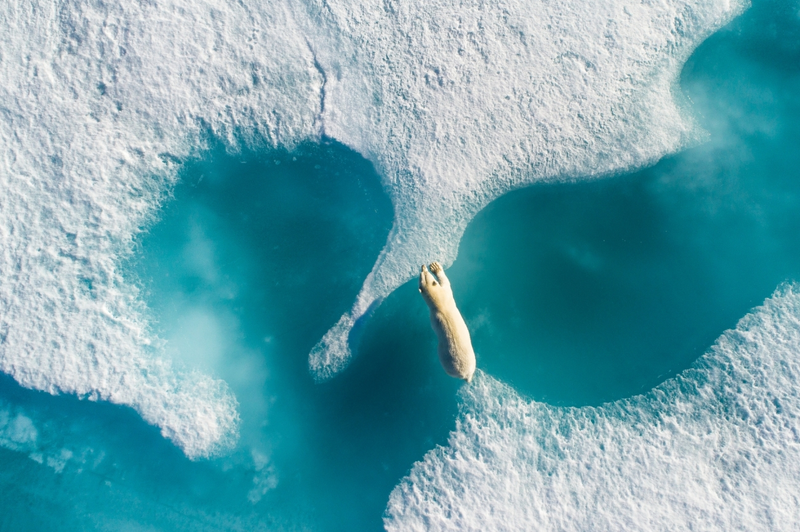 Illustration for article titled Las mejores fotos tomadas con drones del año son simplemente fascinantes